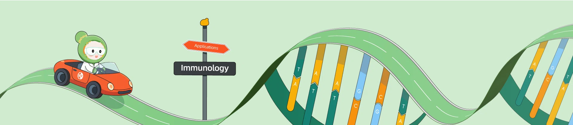 Enhancing T Cell Immunotherapy with CRISPR From Gene Editing to Functional Reprogramming