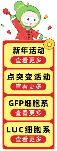 双十一大优惠，活动促销，优惠多多