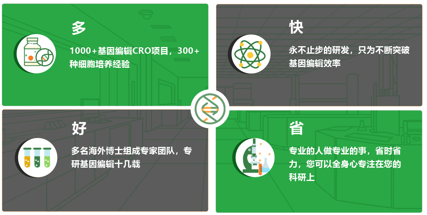 为什么选择艾迪基因的蛋白质纯化平台