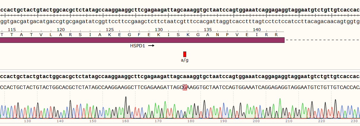 Editing efficiency assays