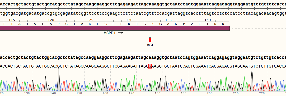 Editing efficiency assays