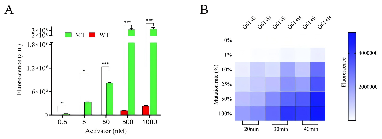 Performance evaluation of the method