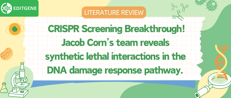 CRISPR Screening Breakthrough! May provide new direction for targeted cancer therapy