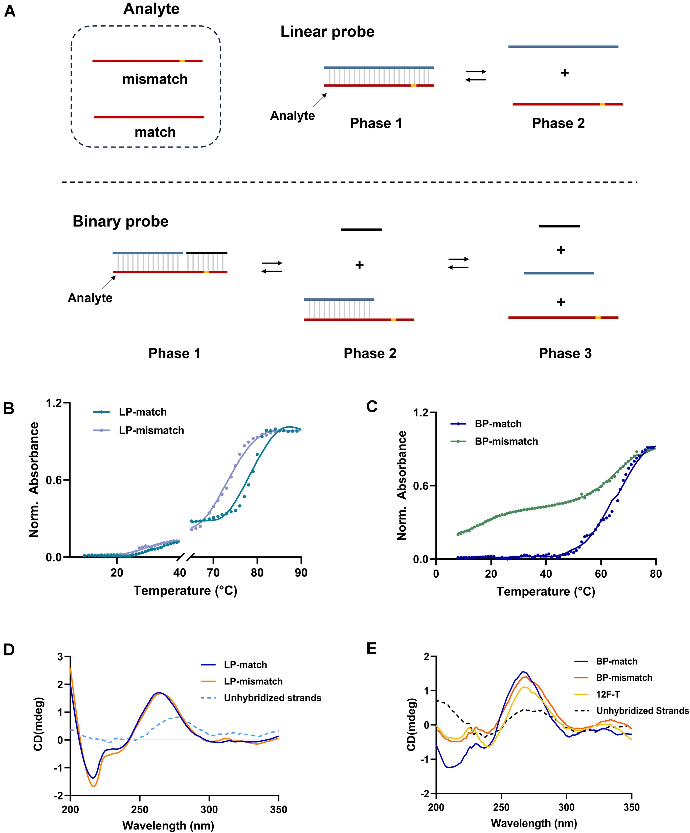Characterization of discrimination between LP and BP