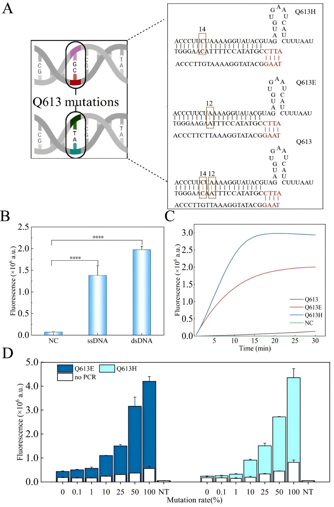 Feasibility results of mismatch crRNA–mediated CRISPR/Cas12a