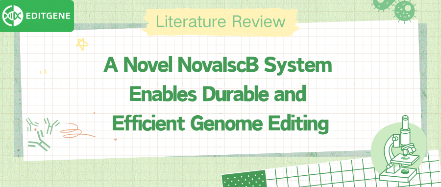 Chinese scientists build NovaIscB, a new enzyme tool for precision gene regulation