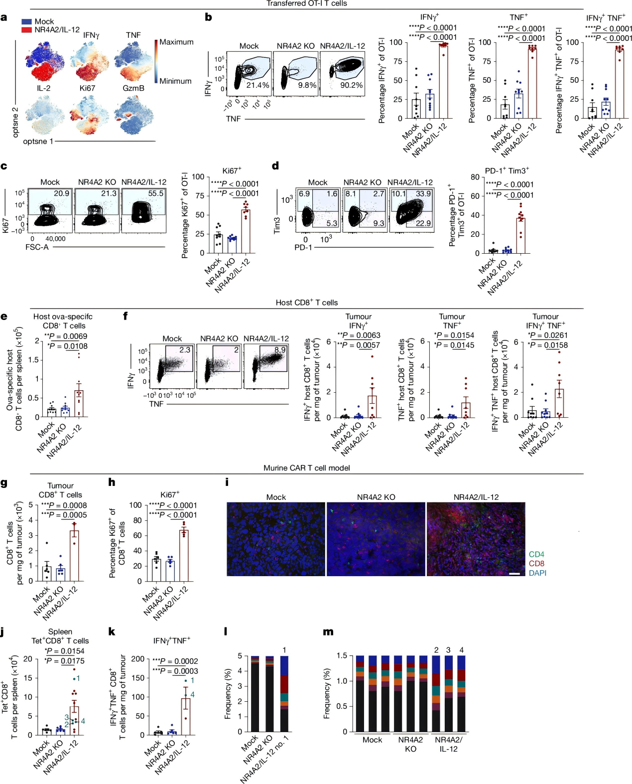 Enhanced proinflammatory response and promotion of host antitumor immunity