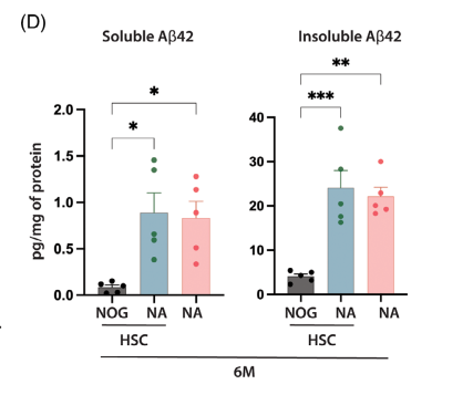  HSC reconstitution did not significantly alter Aβ burden.