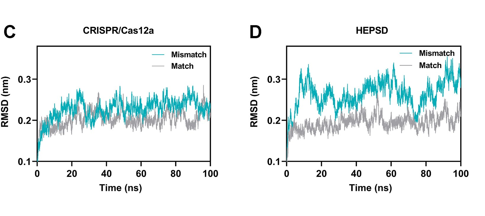 RMSD analysis from molecular dynamics simulations of CRISPR/Cas12a (C) and HEPSD (D) with matched and mismatched targets