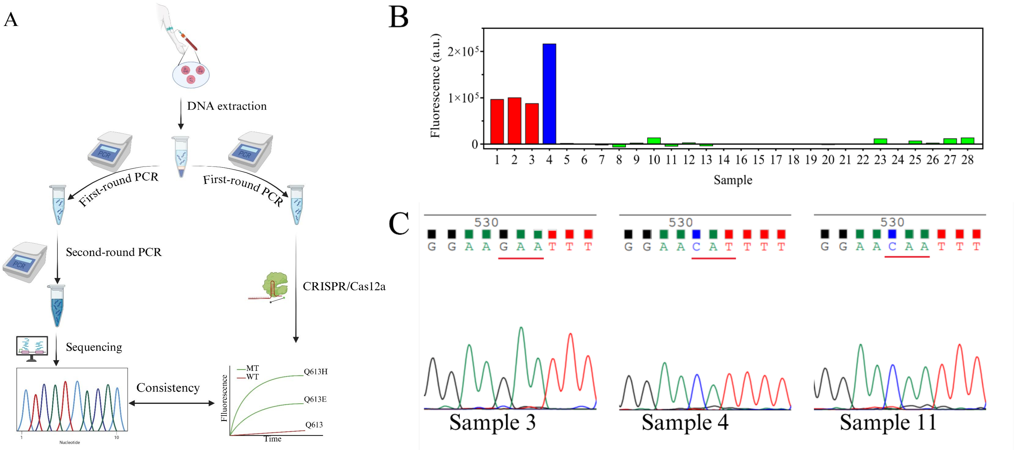 Detection results of clinical samples