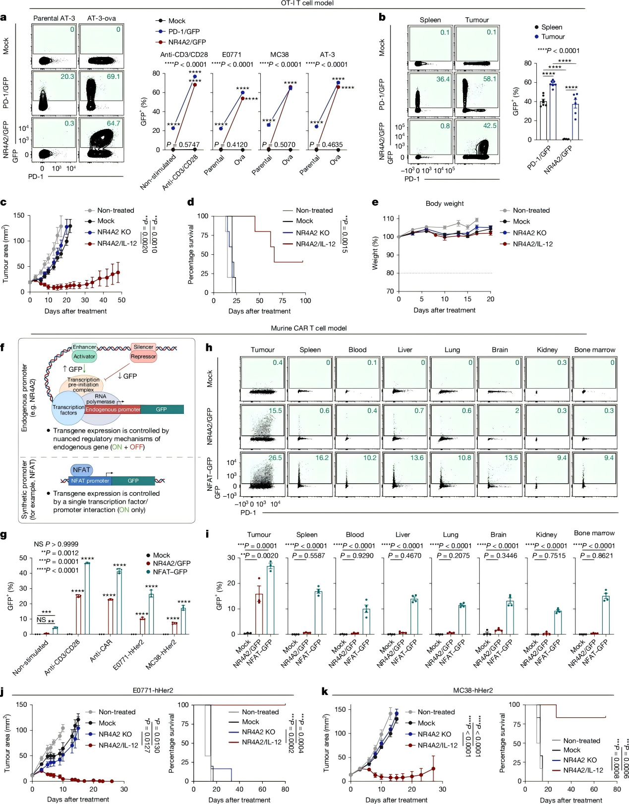 Excellent Tolerability and Robust Antitumor Immune Response