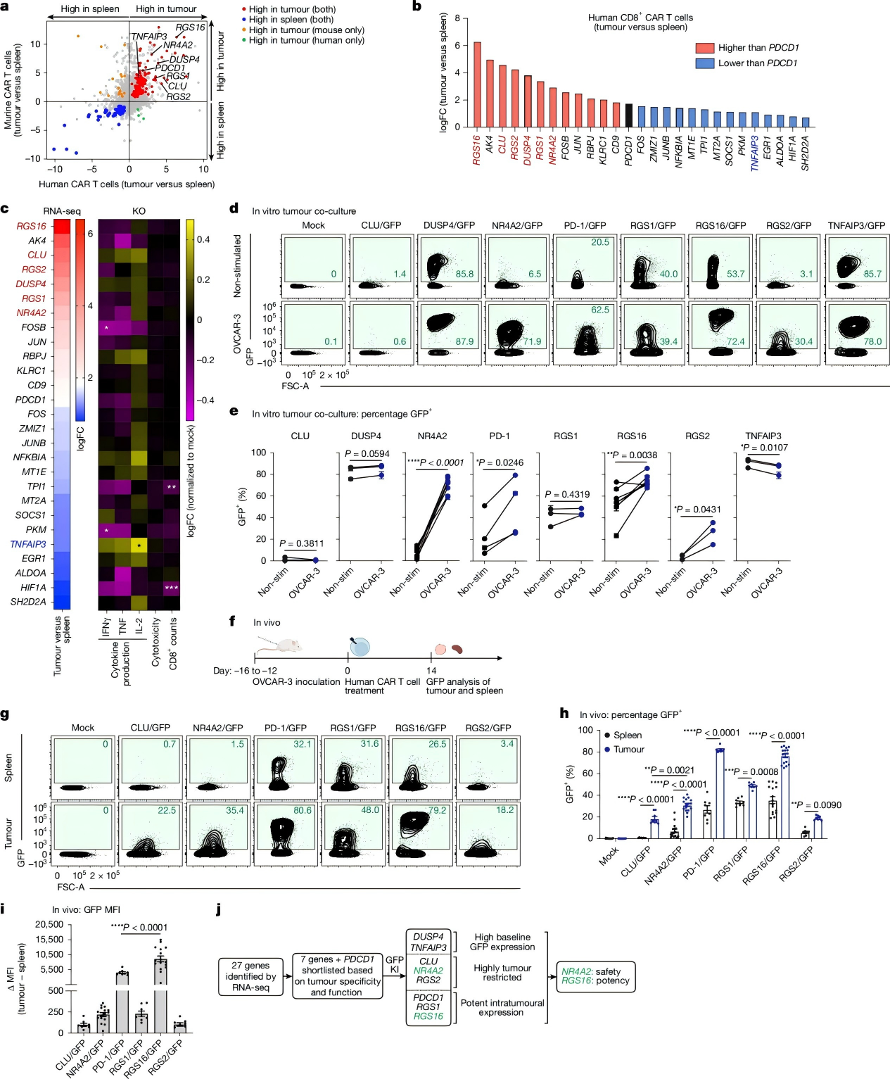 Identification of optimal target genes for CRISPR-engineered armored T cells