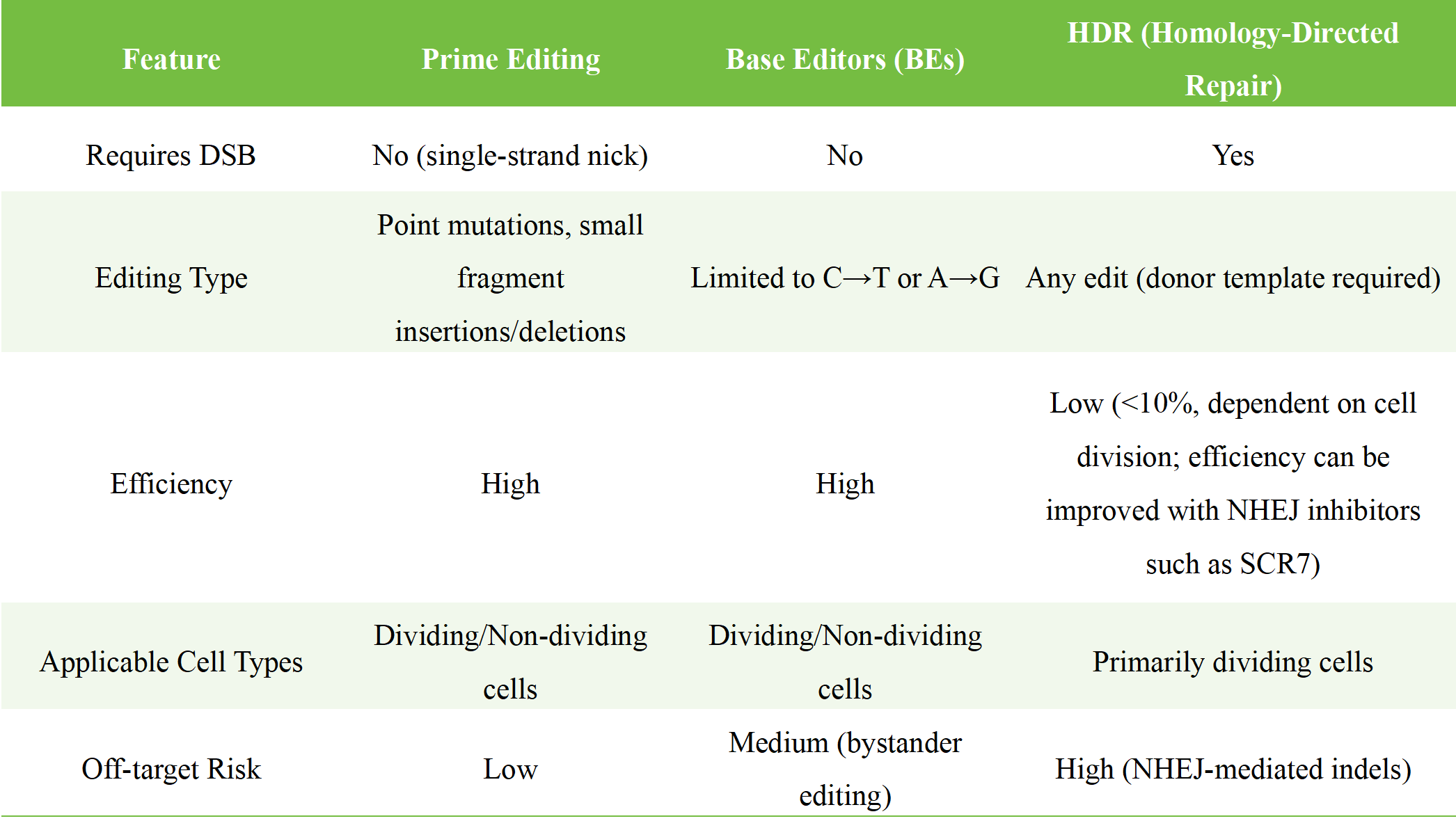 Advantages and Disadvantages Comparison