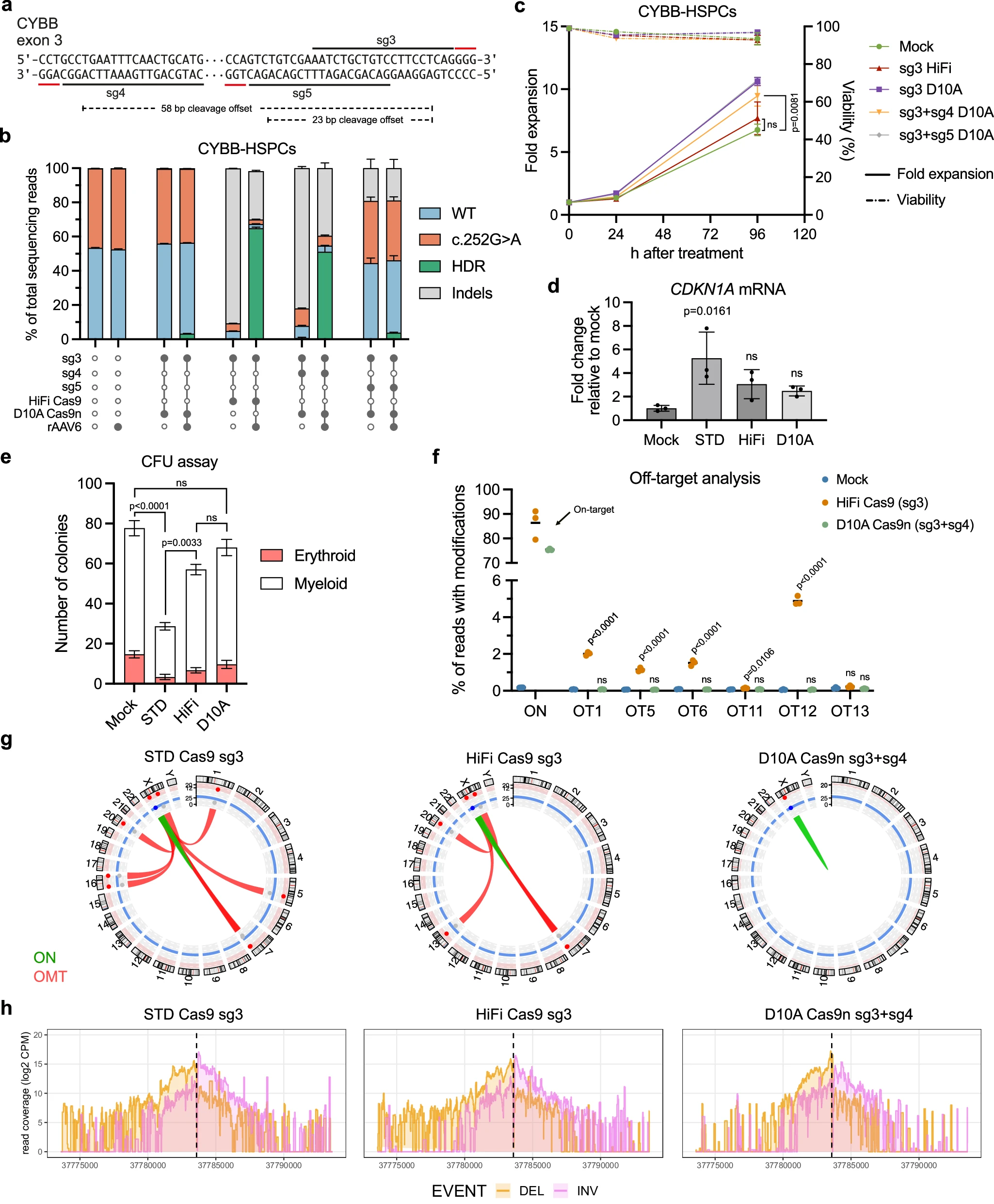Safety and targeting efficiency of paired D10A Cas9 nickase editing