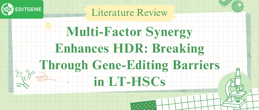 Multi-Factor Synergy Enhances HDR: Breaking Through Gene-Editing Barriers in LT-HSCs