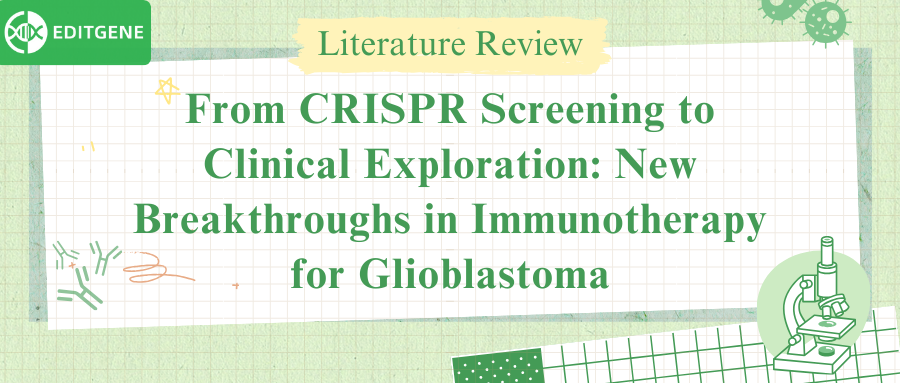 From CRISPR Screening to Clinical Exploration: New Breakthroughs in Immunotherapy for Glioblastoma