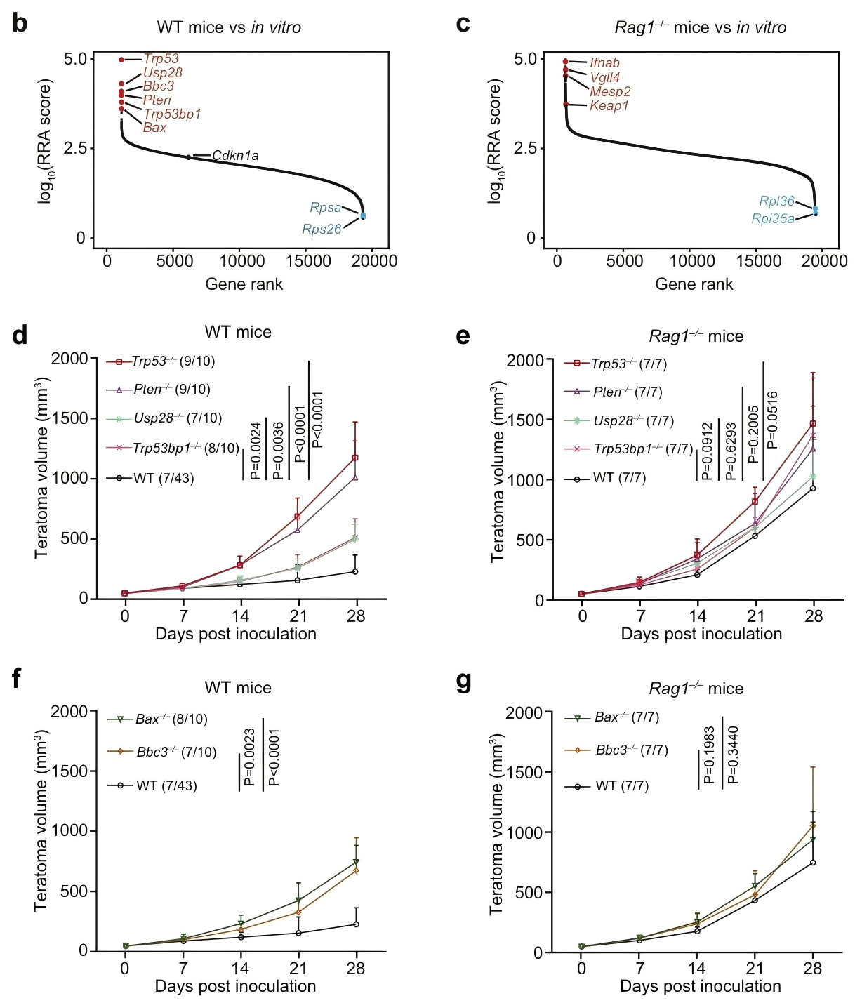 Genome-wide CRISPR screening of immune surveillance genes