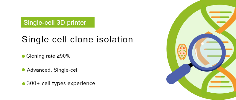 Single Cell Clone Isolation
