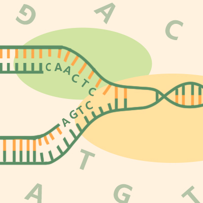 New Trends in Gene Editing - Knockout Cells and Prime Editing Technology Illuminate the Road to Genet