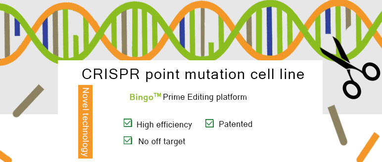 Point Mutation Cell Line
