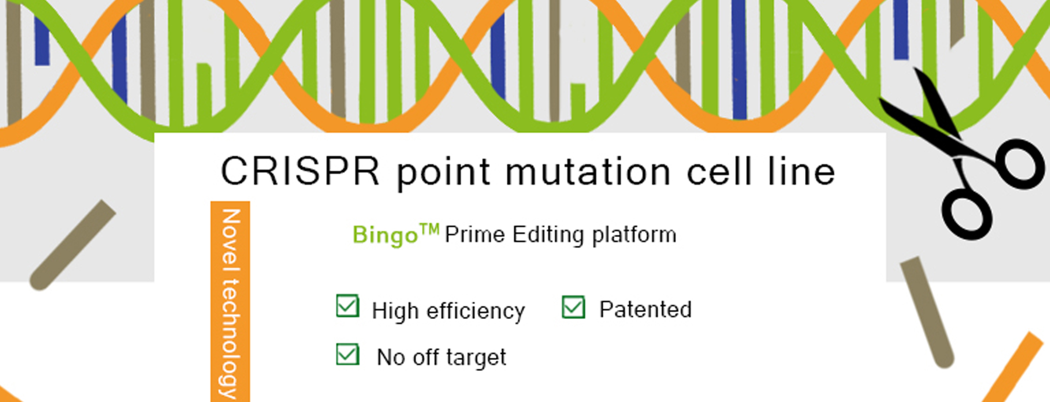 CRISPR point mutation cell line