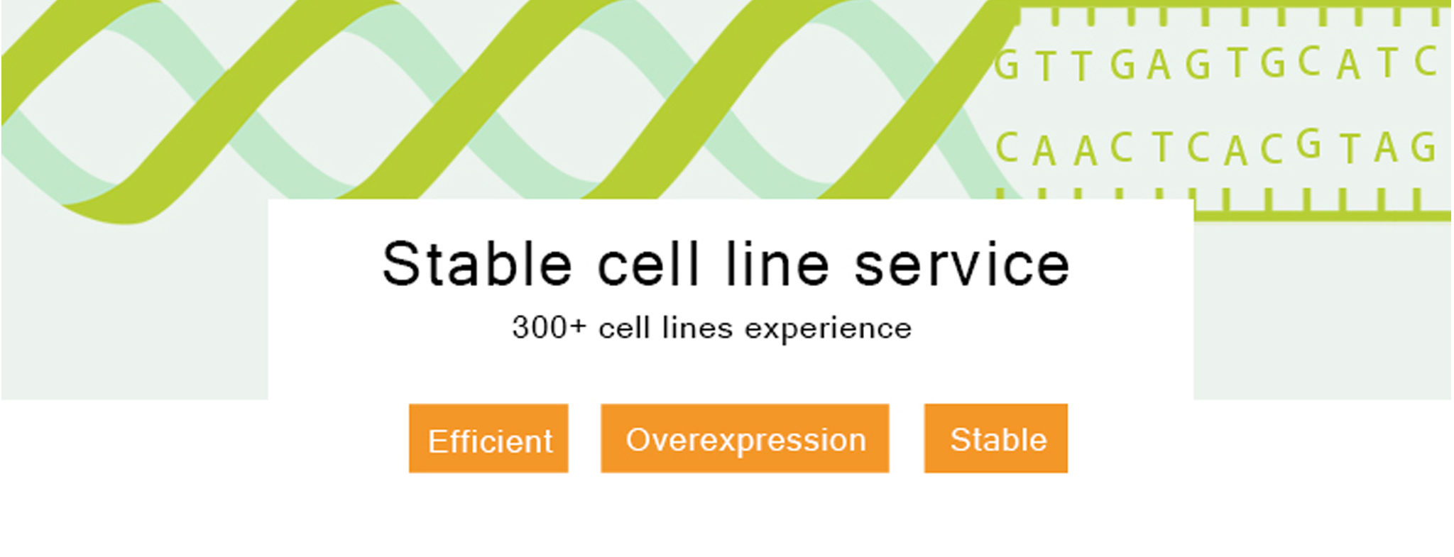 Stable cell line generation service