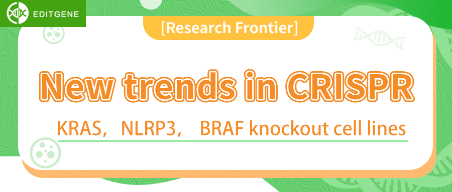 [Research Frontier] New trends in CRISPR-- Kras, NLRP3 and BRAF knockout cell lines