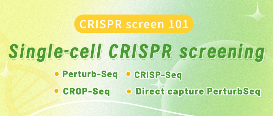 The Knits and Grits behind single-cell CRISPR screening